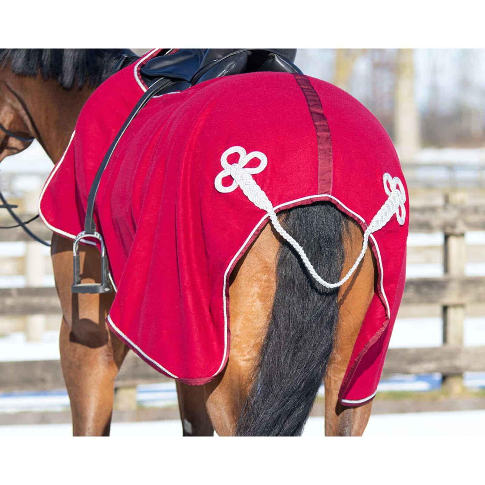 Reiterlive Ausreitdecke Fleece Ornament - 5