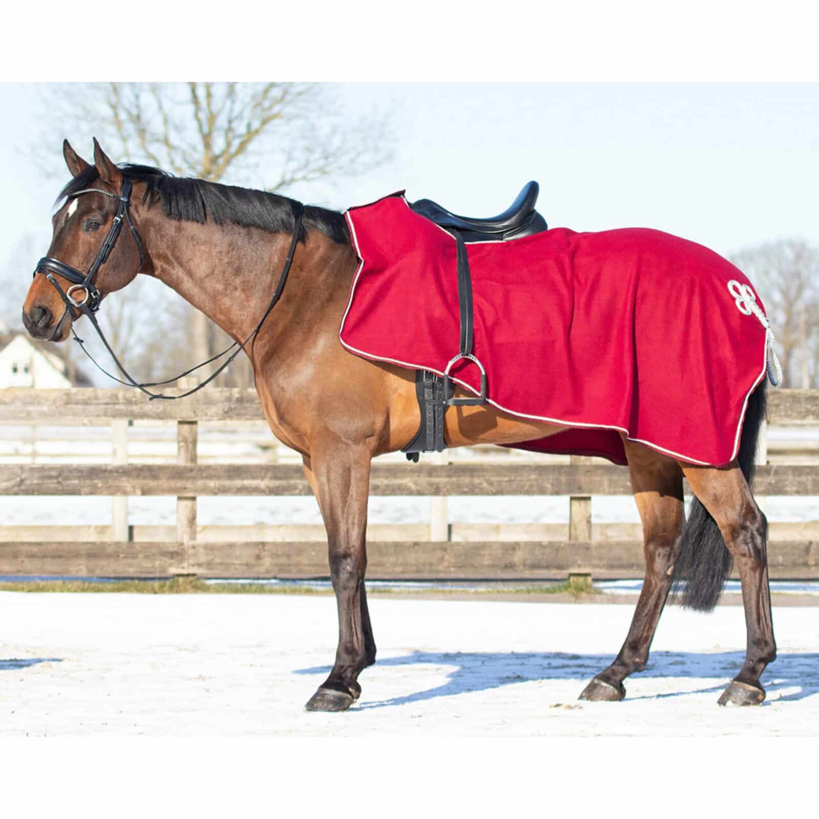 Reiterlive Ausreitdecke Fleece Ornament - 6