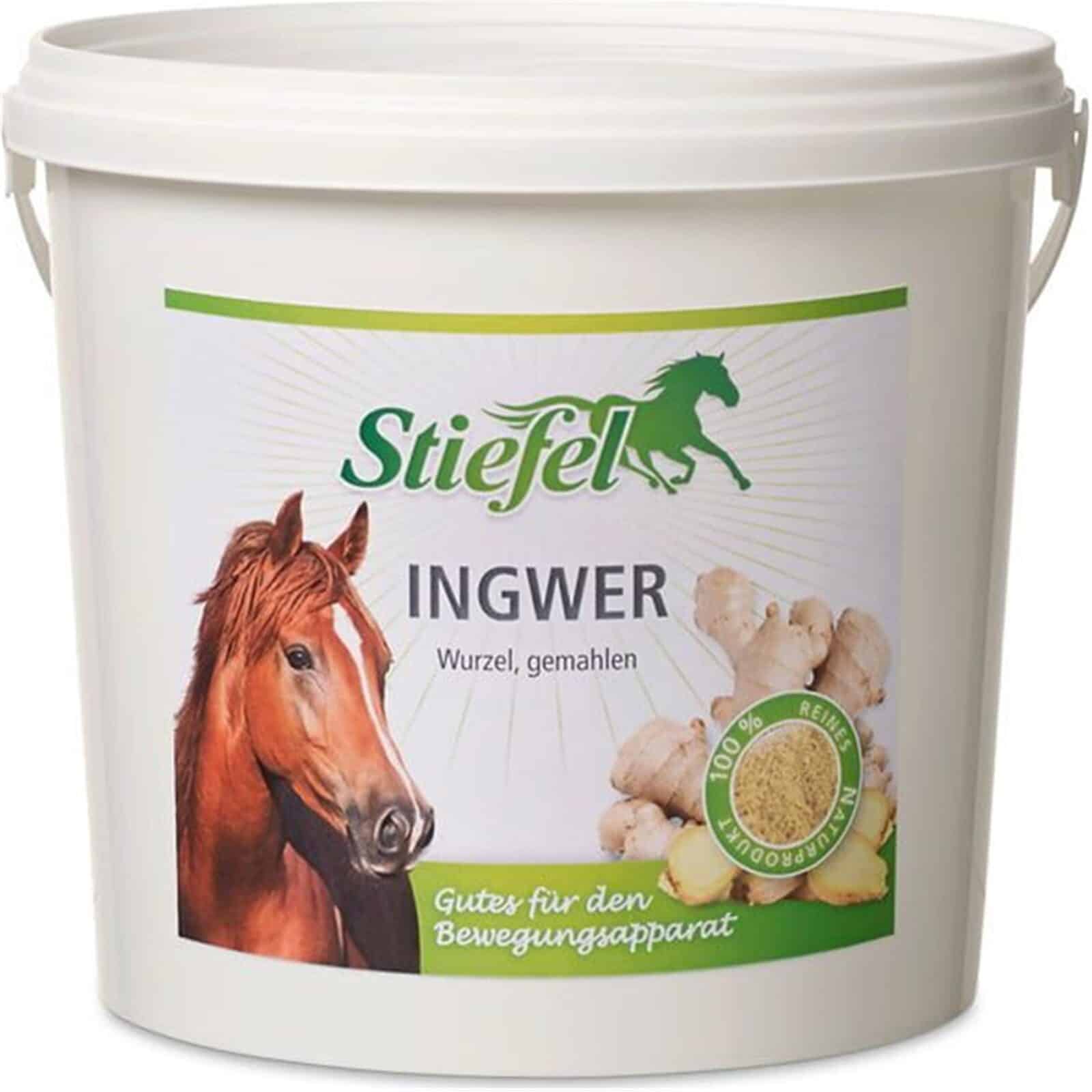 Ingwer,gemahlen1kg-1